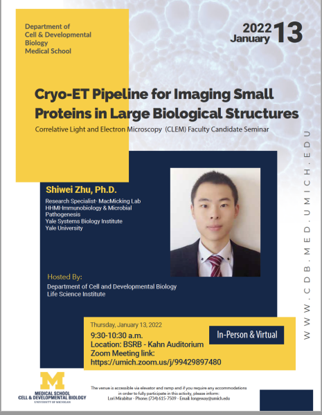 flier