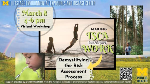 Making TSCA Work