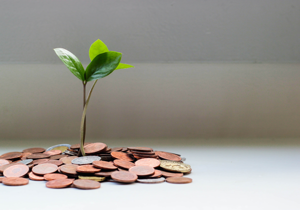 Plant growing out of a pile of coins