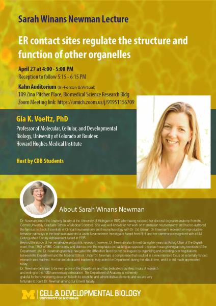 ER contact sites regulate the structure and function of other organelles