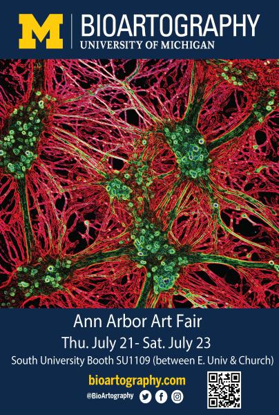 BioArtography at the Ann Arbor Art Fair