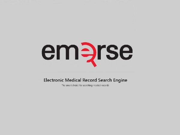 EMERSE logo
