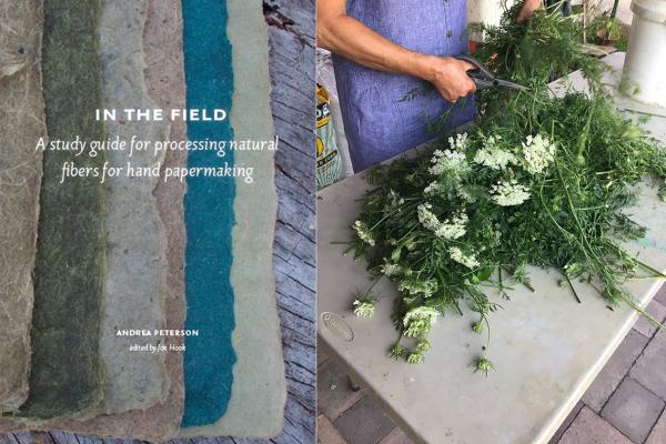 Woman cutting stems from wild carrots (Queen Anne's Lace).