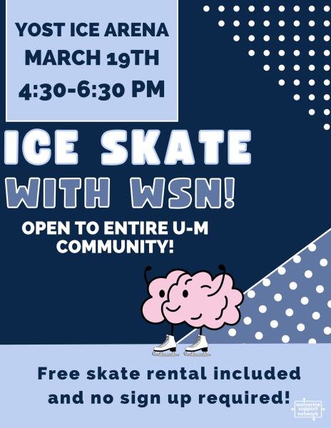 Ice Skating with WSN