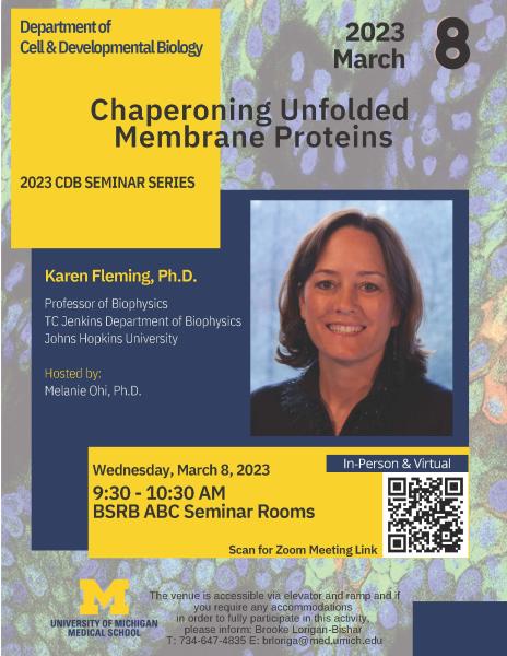 Chaperoning Unfolded Membrane Proteins