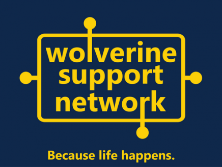 WSN Logo