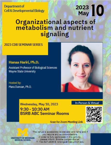 Organizational aspects of metabolism and nutrient signaling
