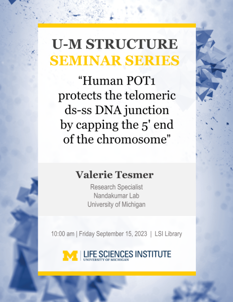 MA Seminar Flyer