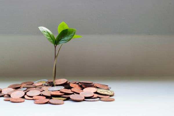 Small plant growing out of a pile of change