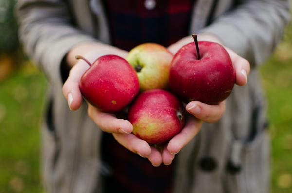 It is time of apples in Korpo! This picture was taken to illustrate the first page the last numbers of a local magazine that Ida Kajsa and me (Aaron Blanco Tejedor) are making with love in Korpo: Pro Korpo Bladet. We love the Autumn colours, the Autumn smells, the Autumn light, the Autumn everything!  The life in the countryside is full of beauty! It is time of apples!