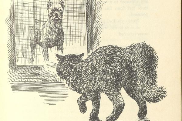 Mr. Cat (1960) by George Freedley, illustrated by Victor J. Dowling.