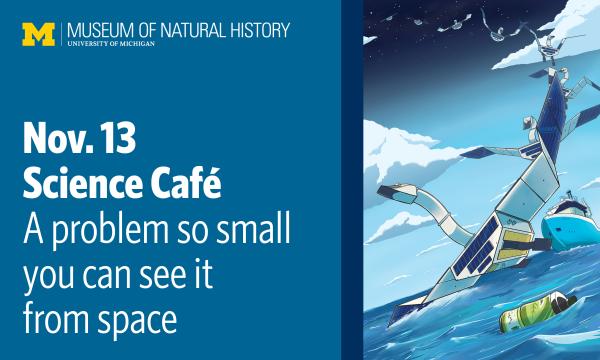 Illustration of a satellite turning into a swan, Animorphs-style